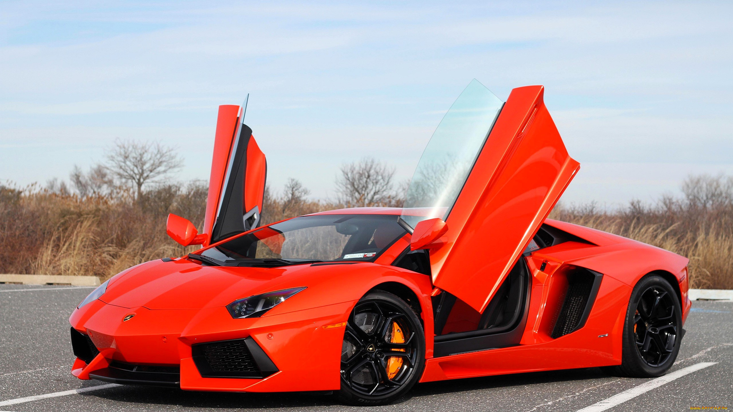 lamborghini aventador, , lamborghini, , , 